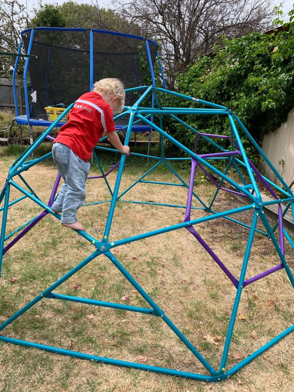 geometric dome climber