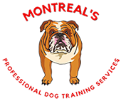 Montreal Professional Dog Training Service