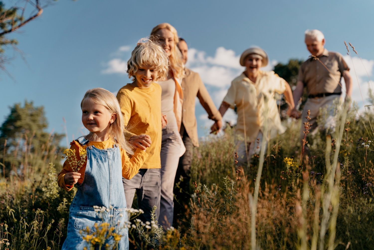 A multi-generational family walking hand-in-hand through a field of tall grass on a sunny day.