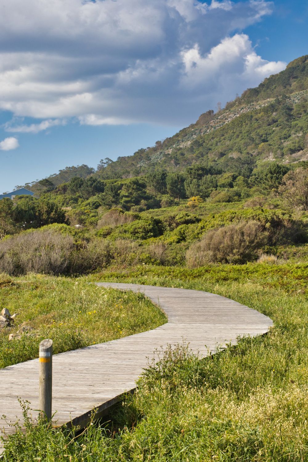 Wooden walkway curves through a green, grassy field towards a hillside covered in trees, under a blue sky with clouds.