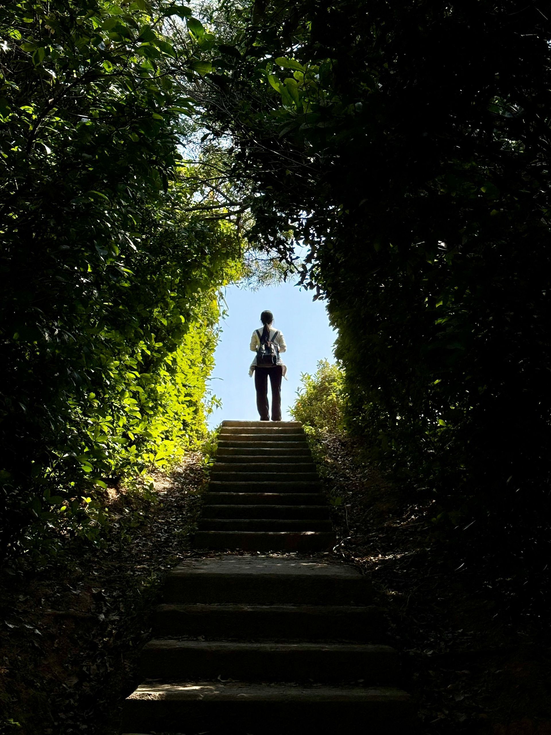 Person standing atop stone stairs framed by green hedges, looking towards bright sky.