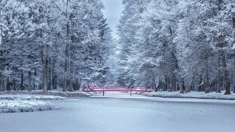 Frozen lake in winter