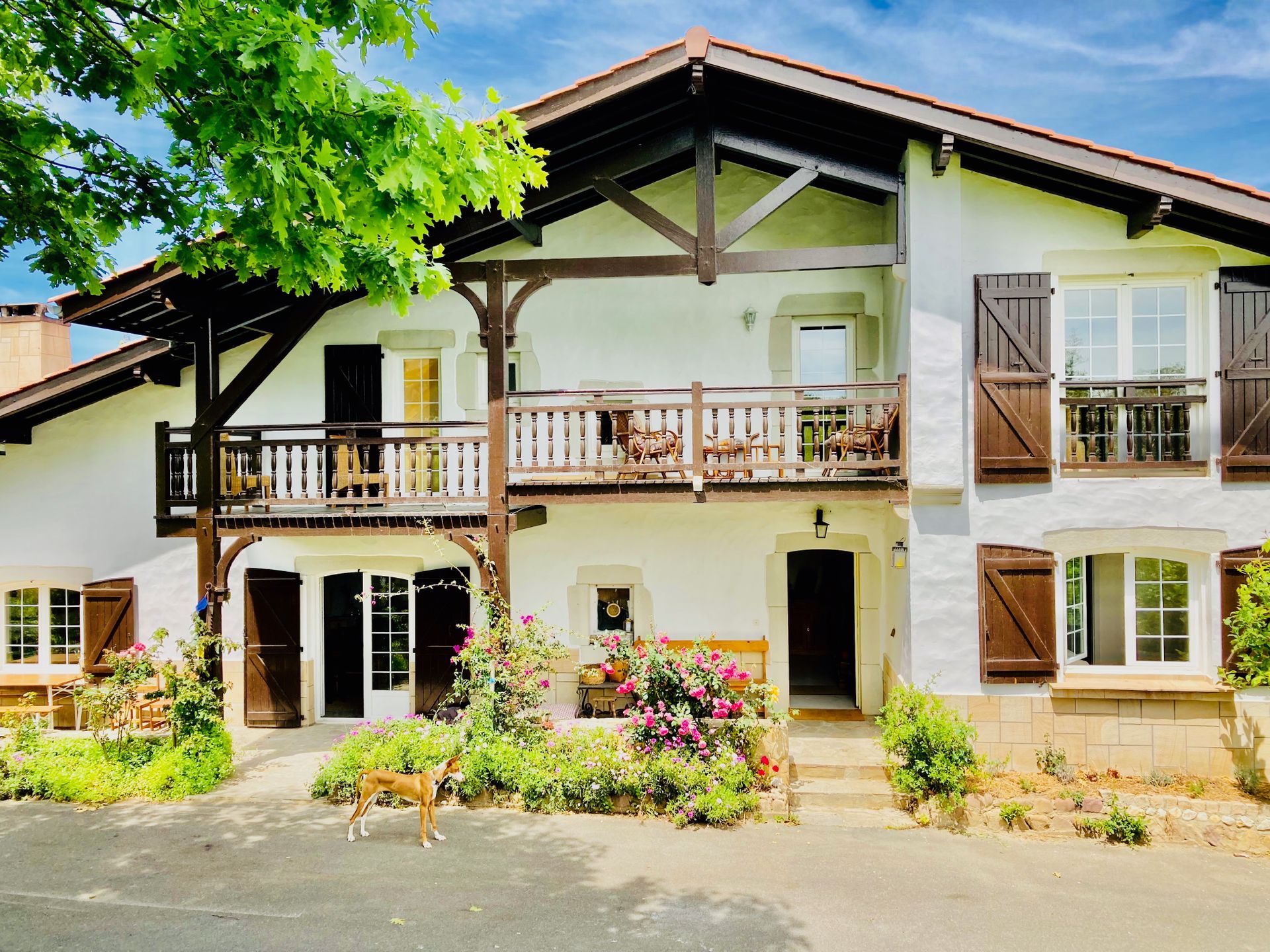 Two-story white house with brown shutters, a balcony, and a dog in the yard.