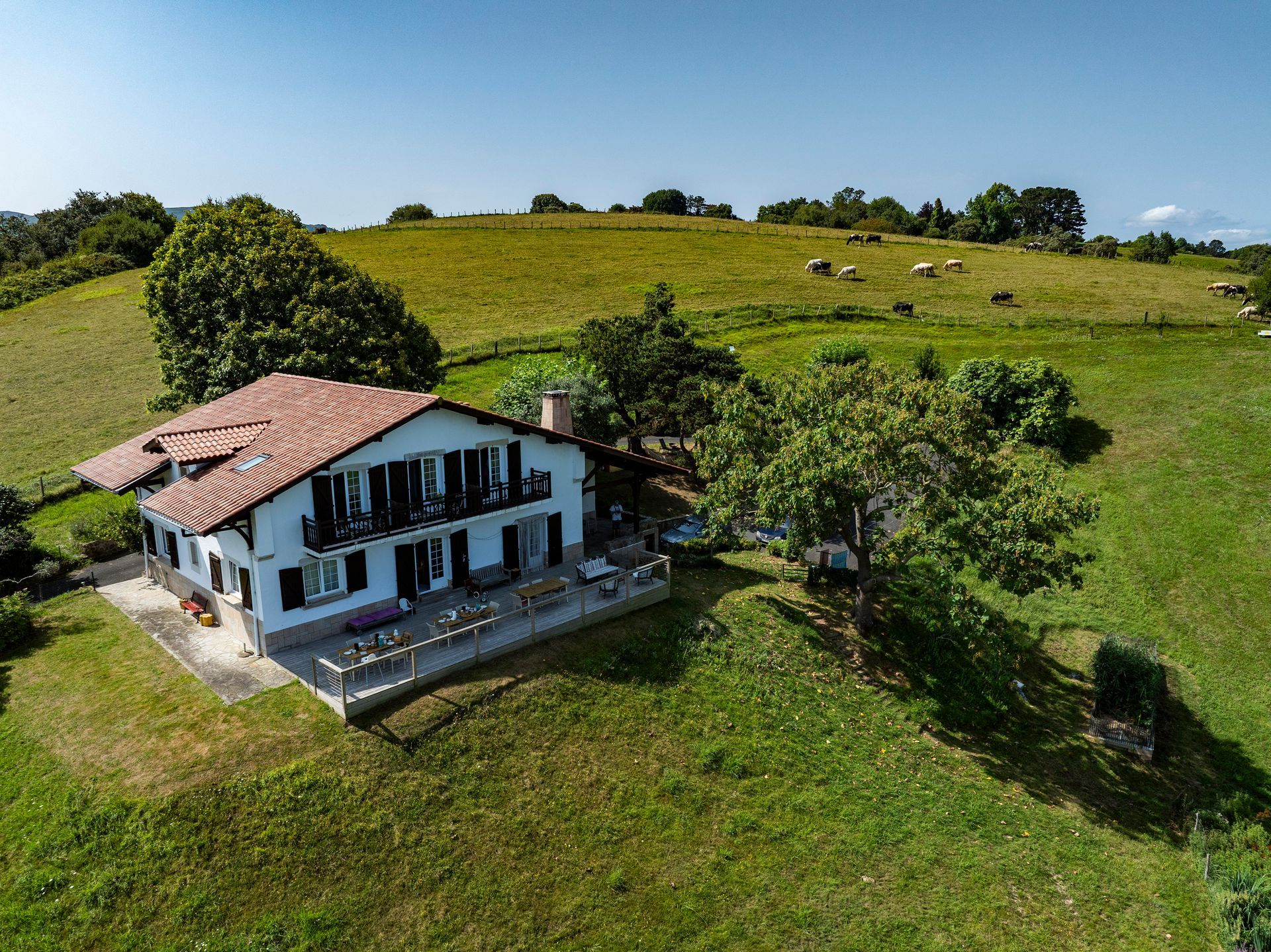 White house with red tile roof on a grassy hillside; cows graze in background.