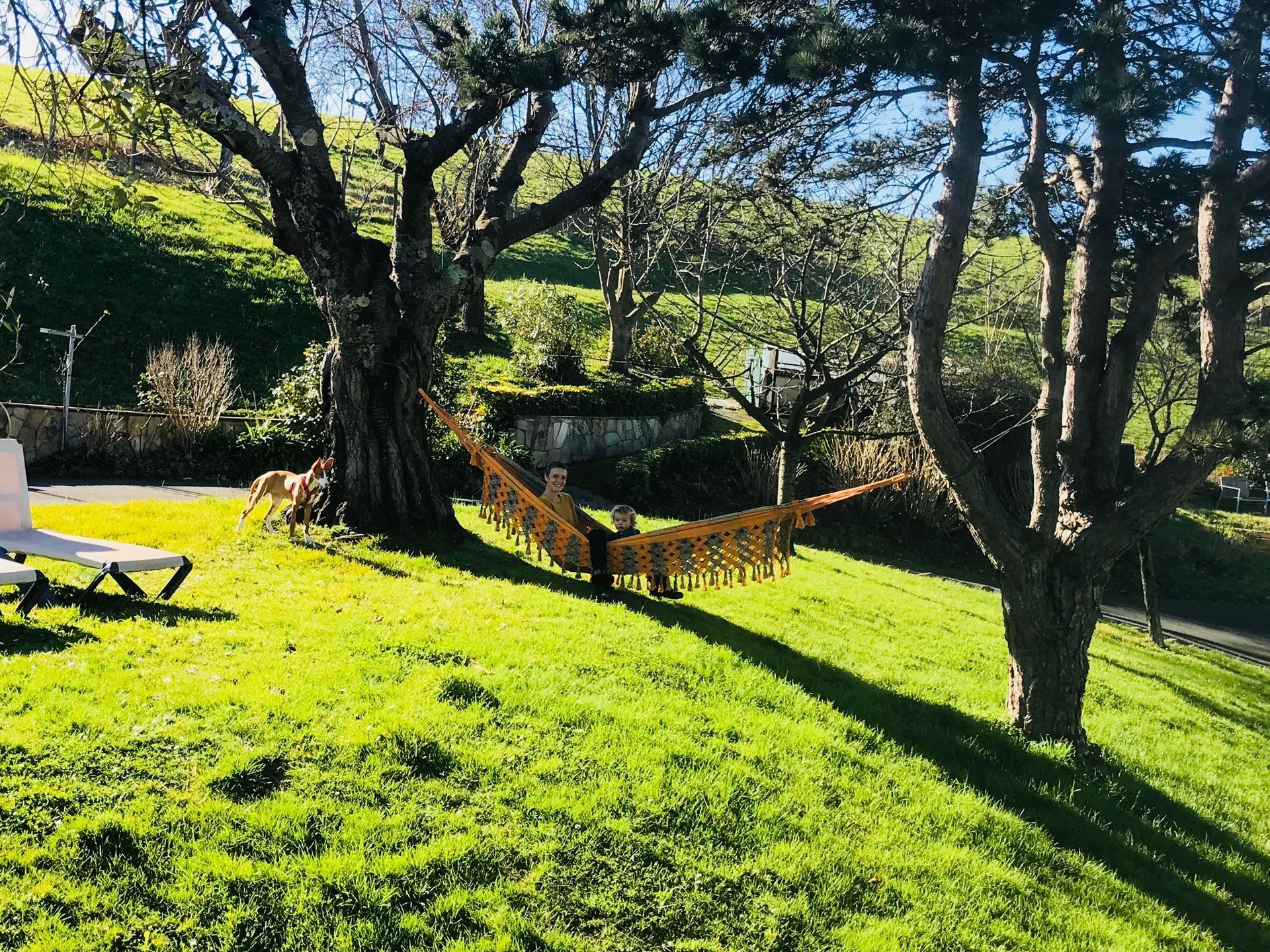 Green lawn with a yellow hammock strung between two trees; a lounge chair sits on the left.