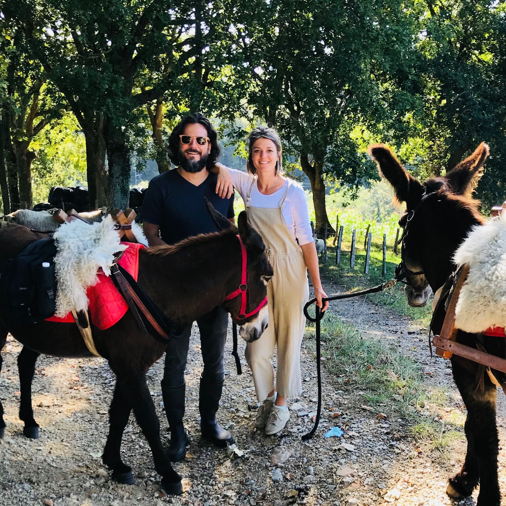 Man and woman with donkeys, outdoors; the woman's arm is on the man's shoulder. Sunlight, trees.
