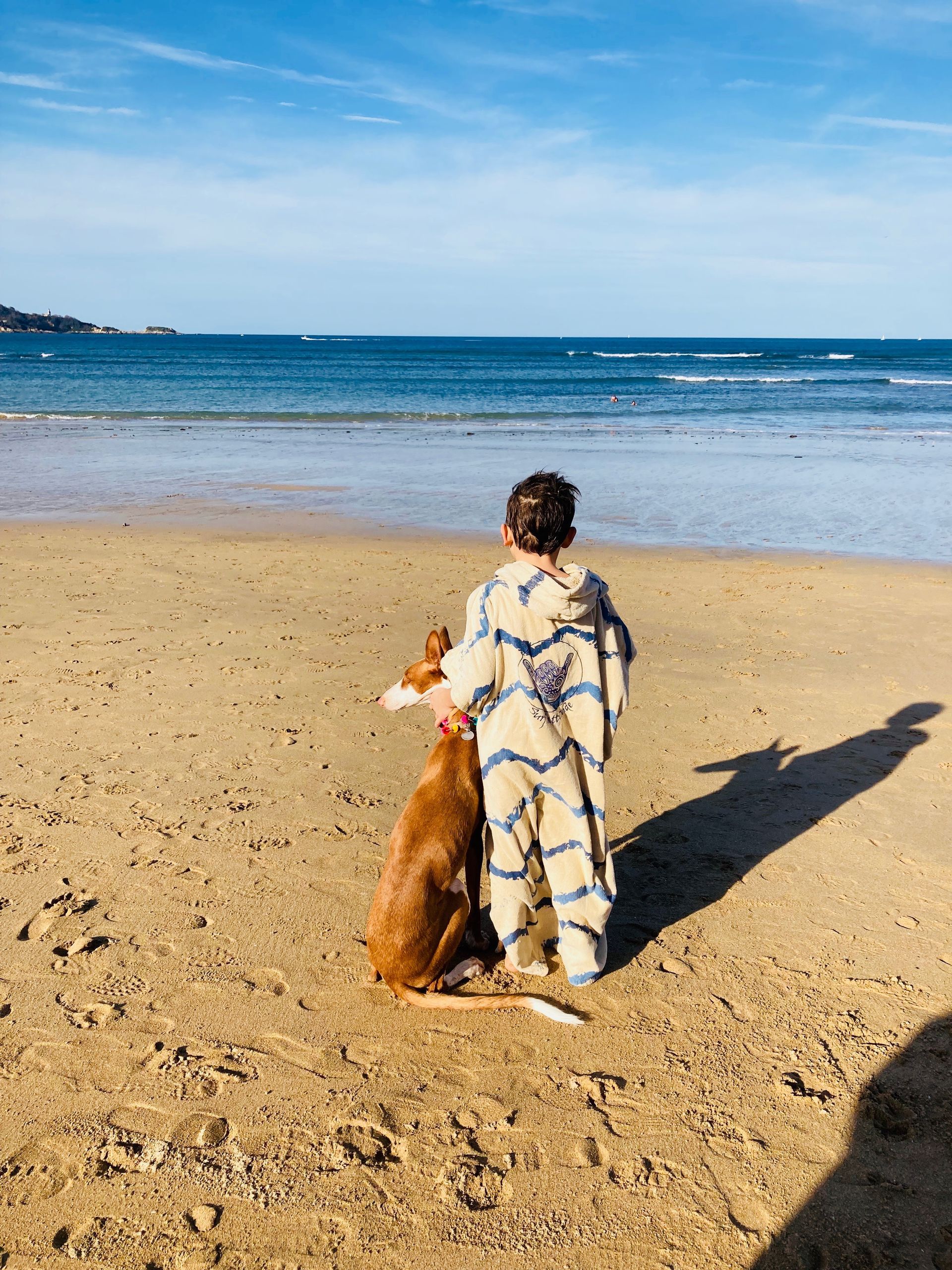 Child in a blue and white outfit stands on a beach with a brown dog, looking out at the ocean.