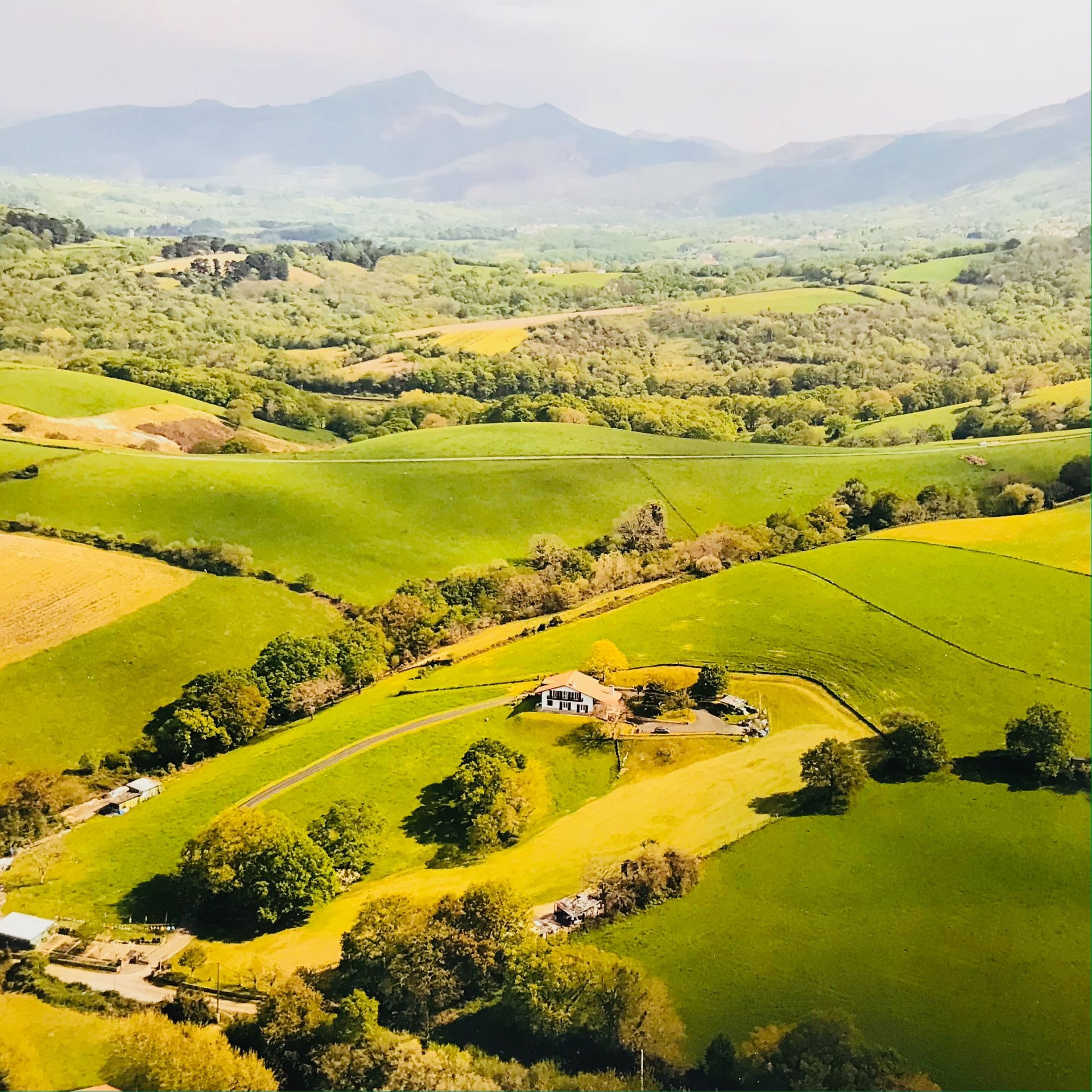 Rolling green hills with a farmhouse, trees, and mountains in the distance under a bright sky.