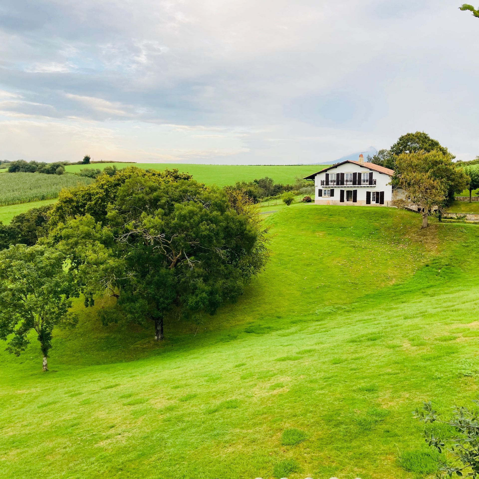 House on a green hillside under a cloudy sky. Trees dot the landscape.