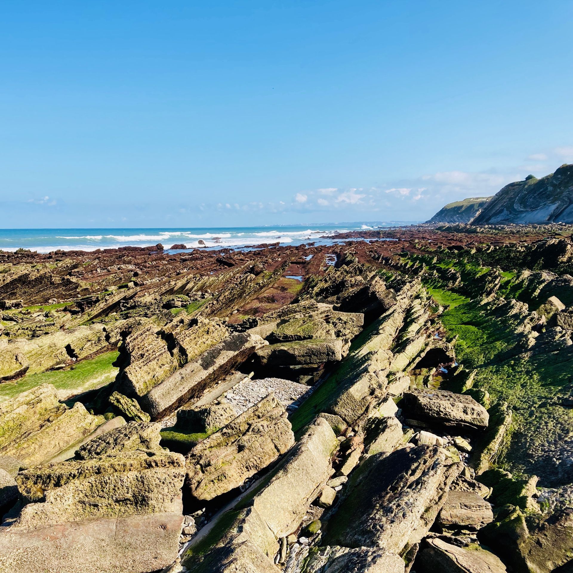 Rocky coastline with ocean in the distance under a bright blue sky. Some rocks are covered in green moss.