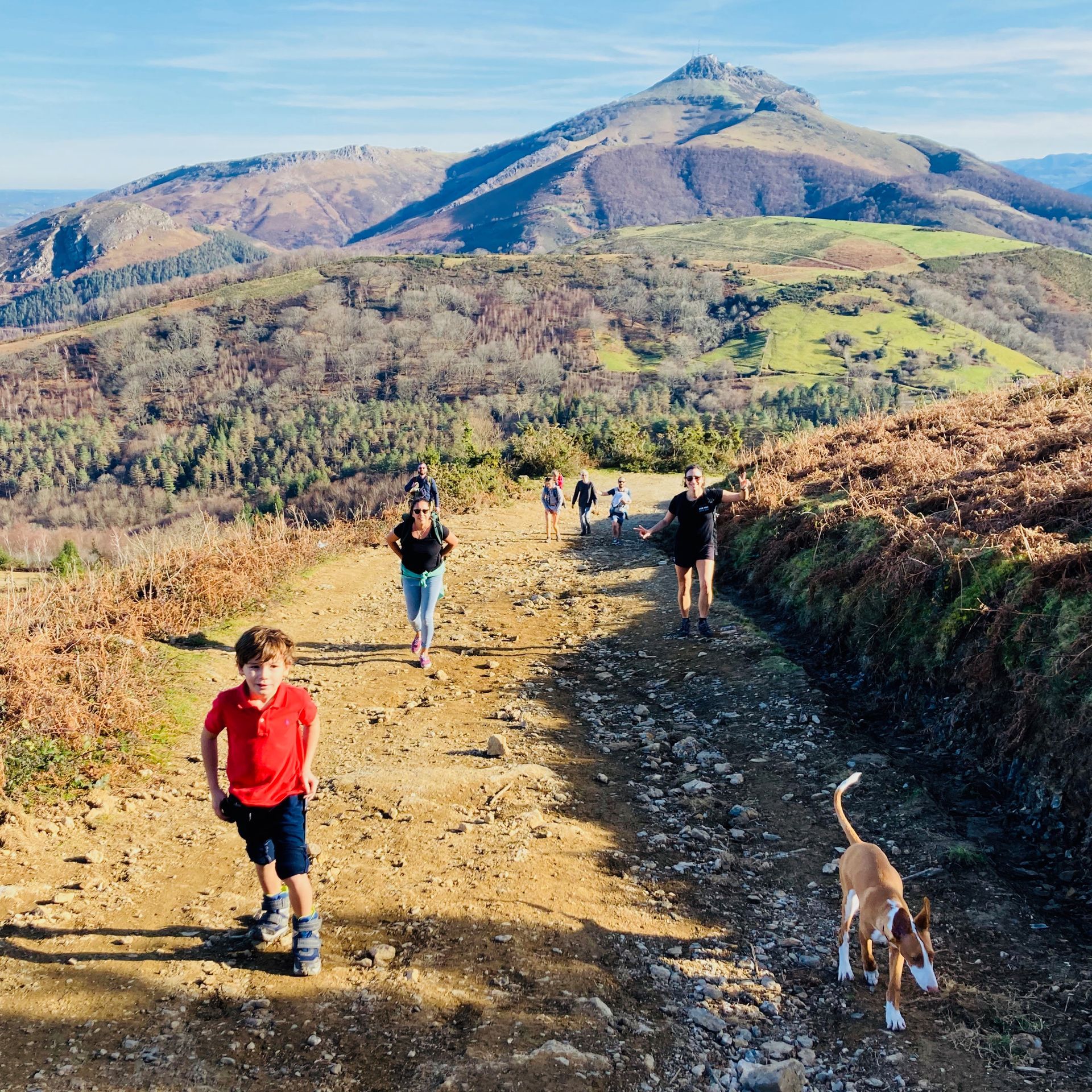 People hiking a dirt path on a mountain, sunny day. A child and dog in the foreground, mountain in the background.
