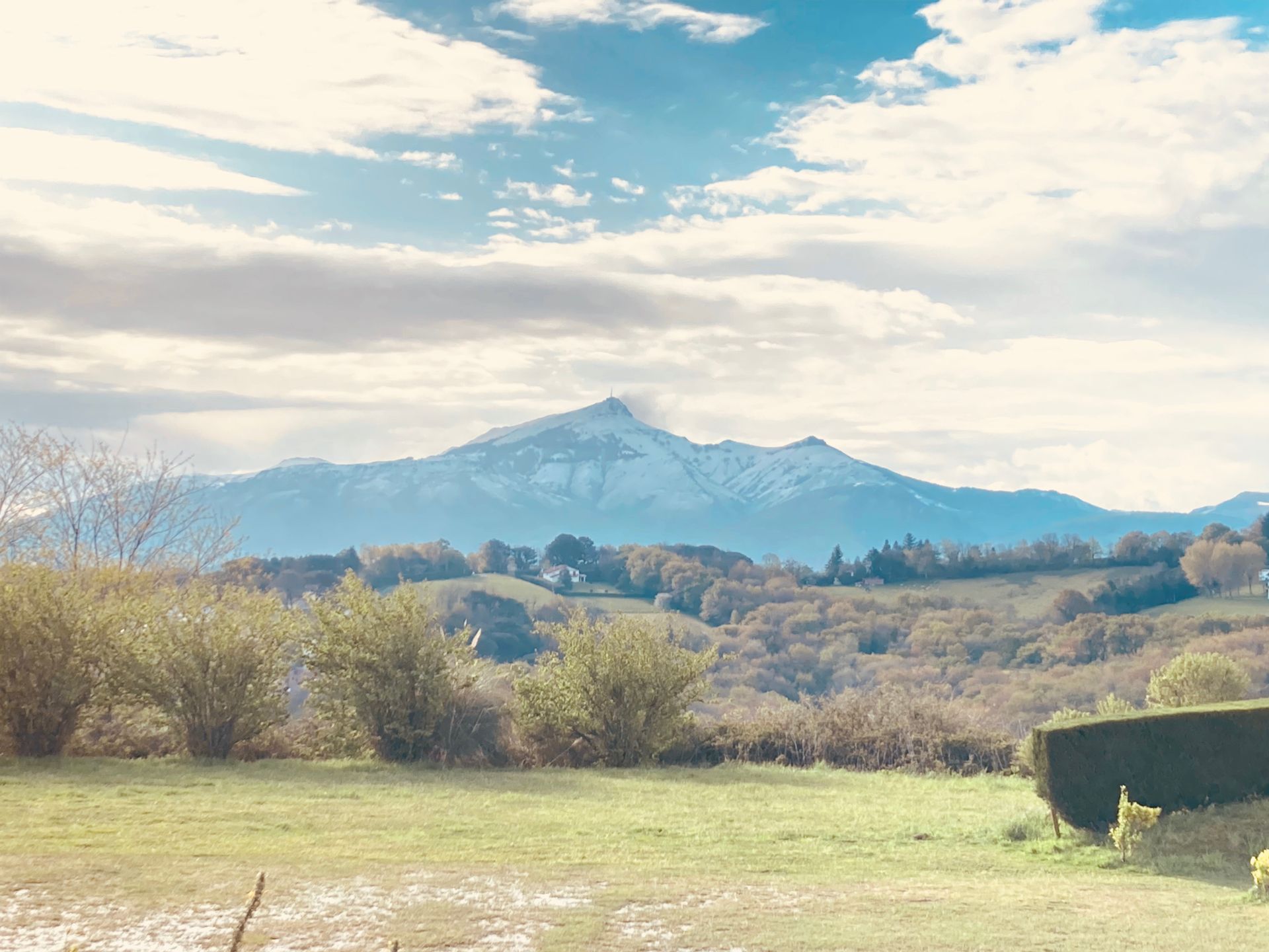 Green field and bushes in the foreground with snow-capped mountains and cloudy sky in the background.