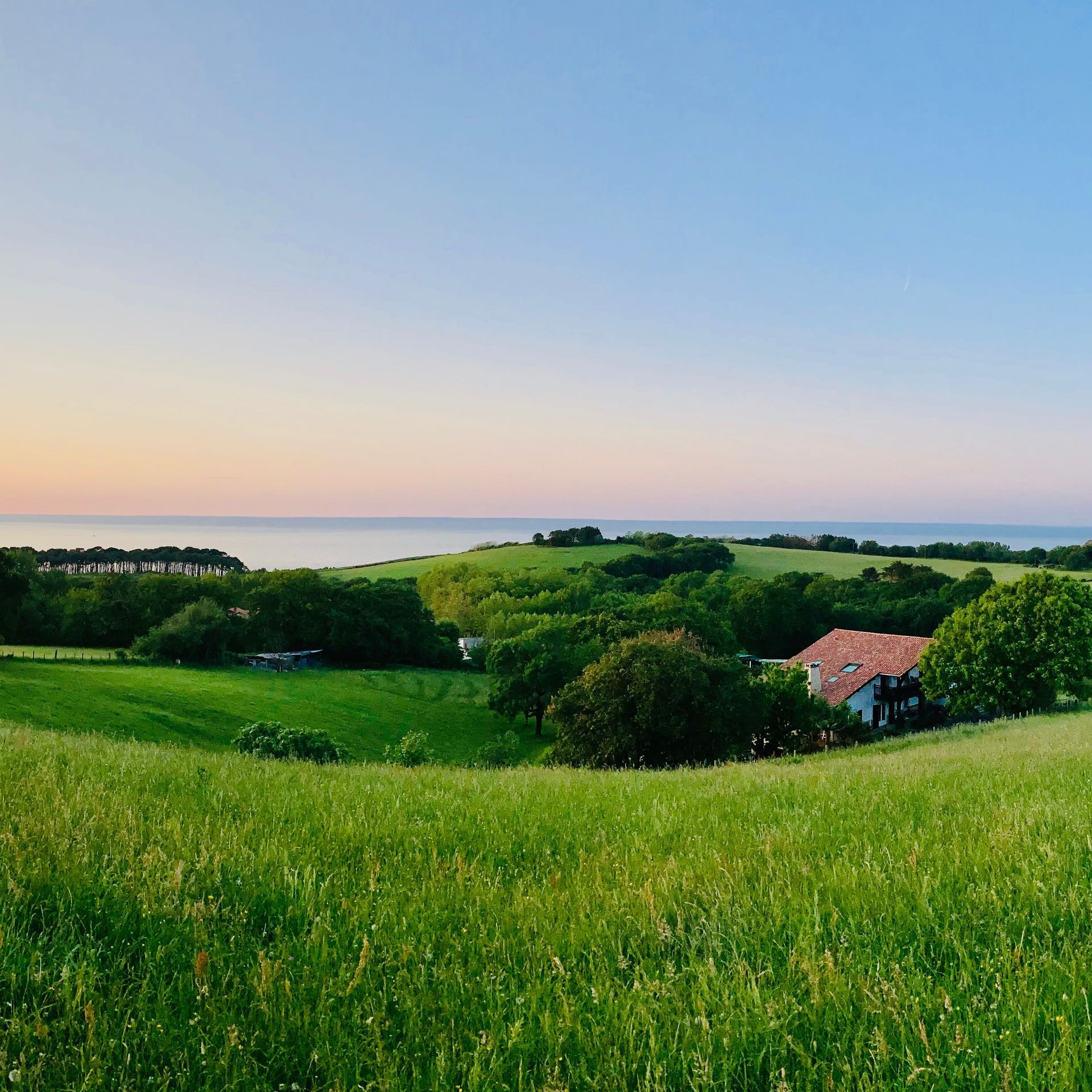 Rolling green hills with a house, trees, and ocean under a pastel blue sky.