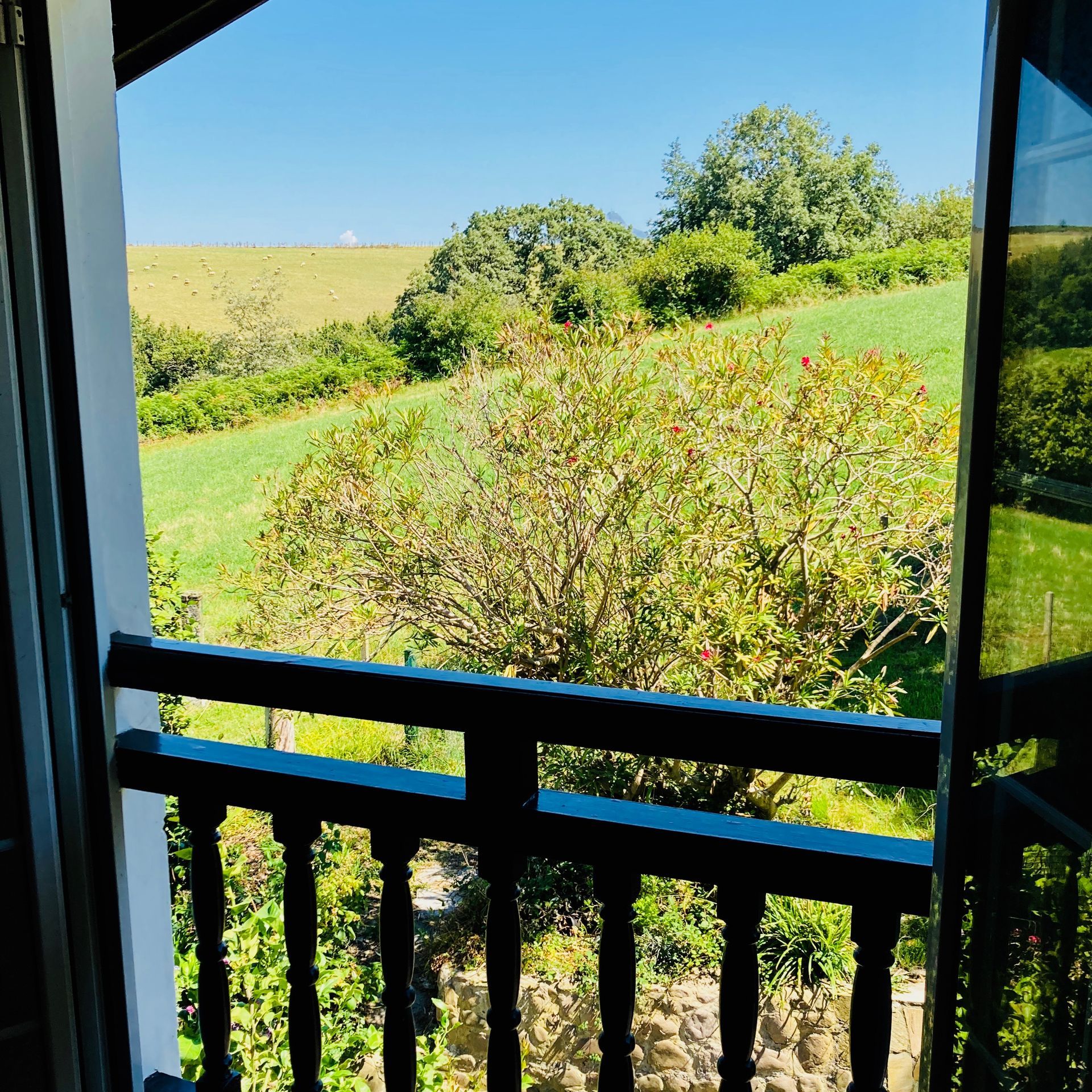 Balcony overlooking a sunny green field with trees.