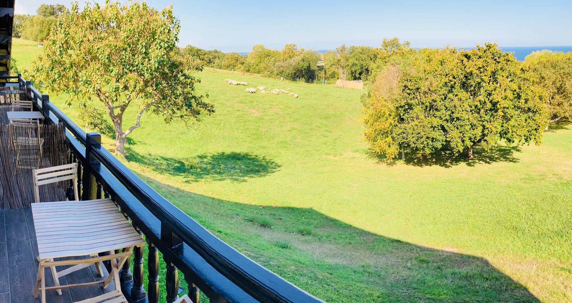 Balcony view: Table and chairs, grassy field with trees, ocean in background.