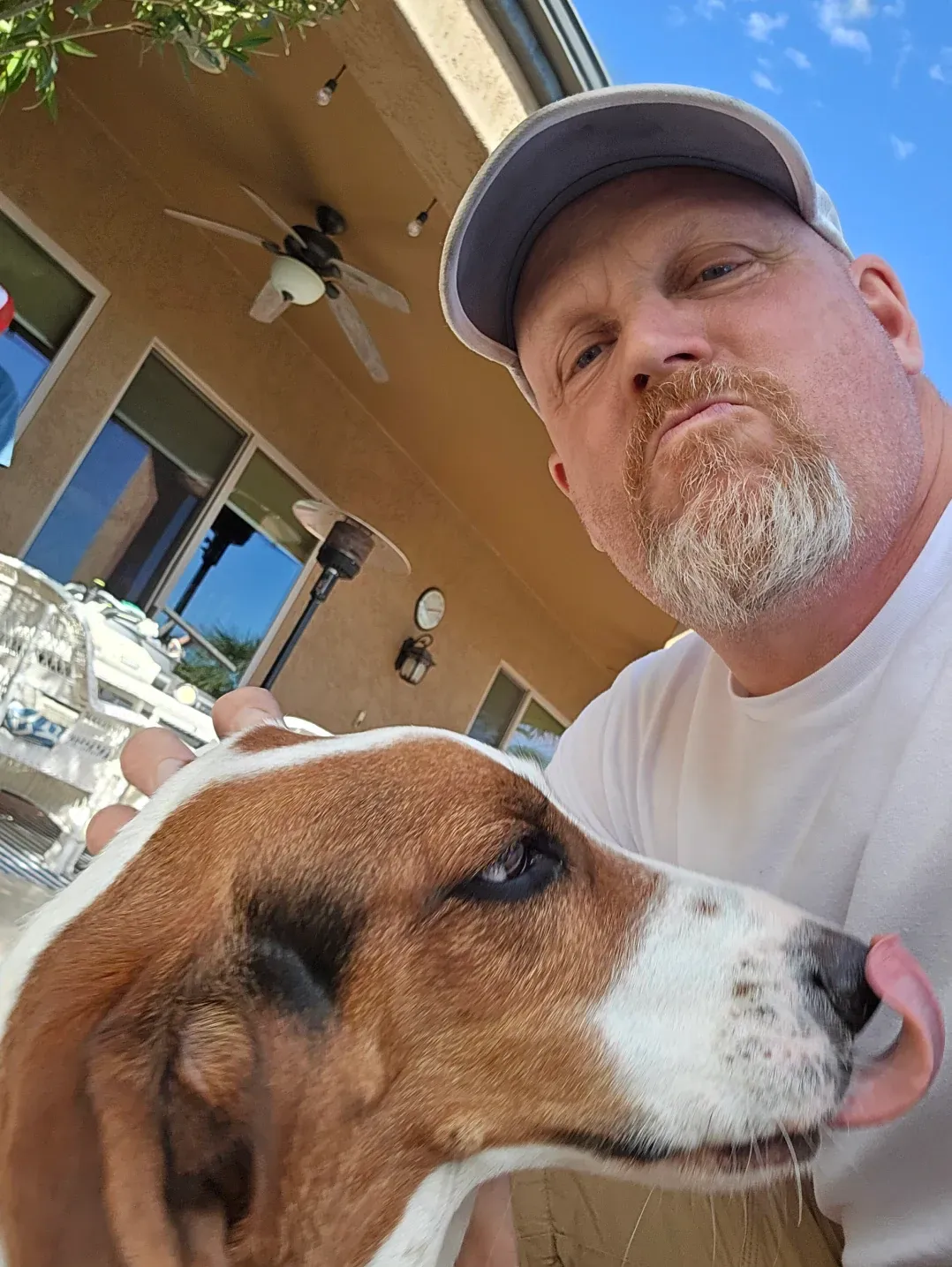 A man is holding a brown and white dog in his arms.