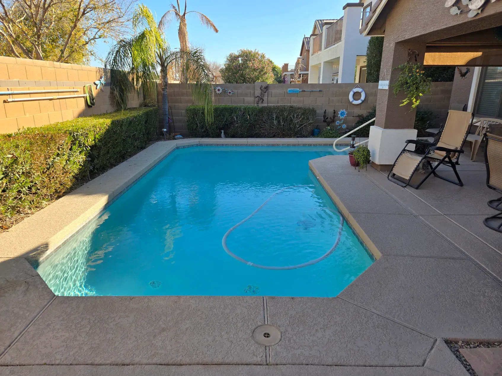 A large swimming pool is surrounded by chairs and bushes