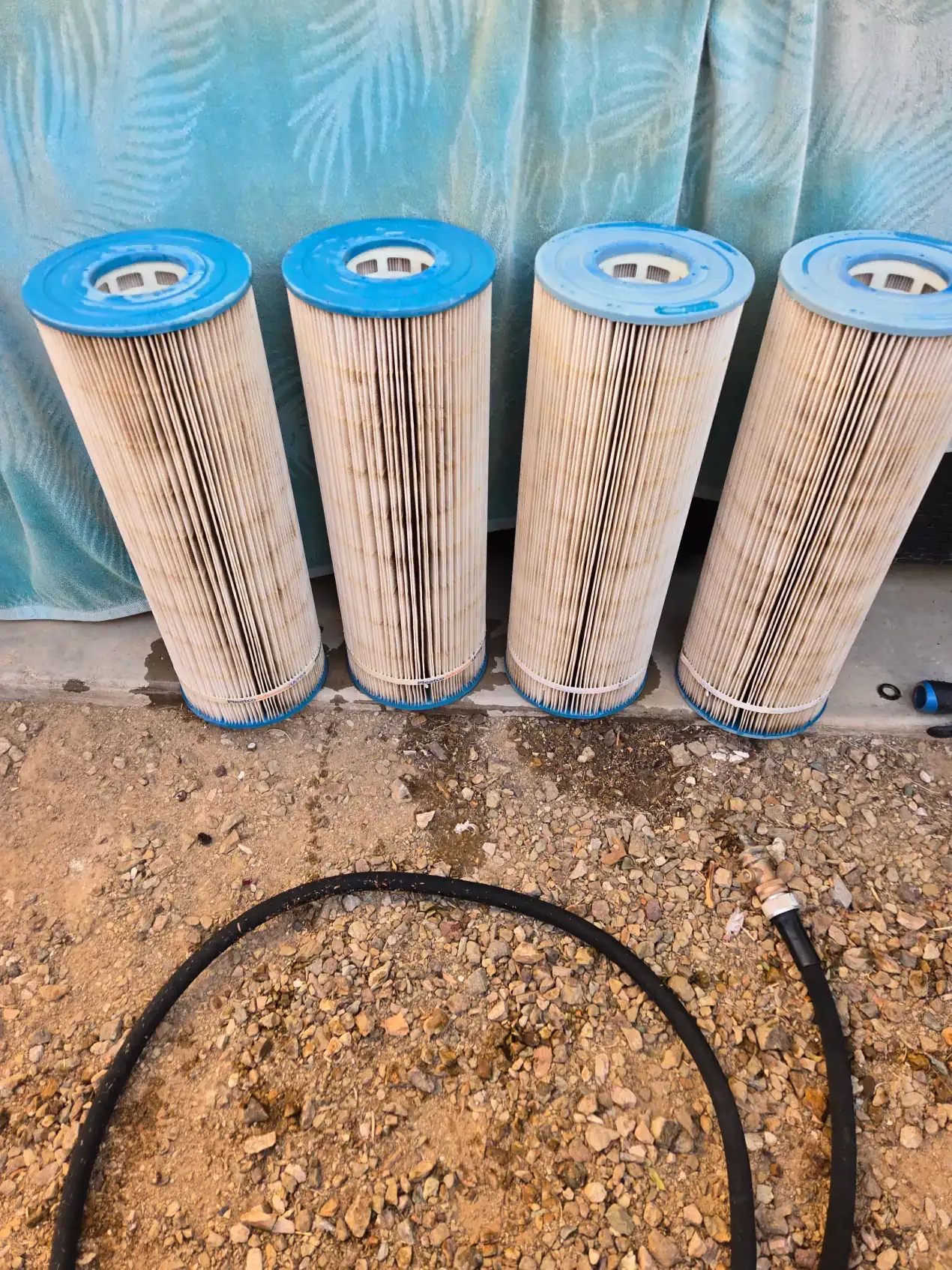 Four dirty pool filters are sitting on the ground next to a hose.