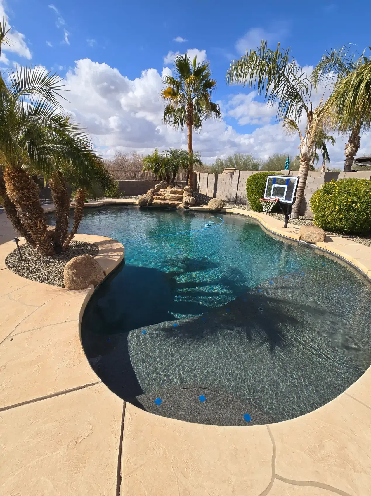 A large swimming pool is surrounded by palm trees and umbrellas.