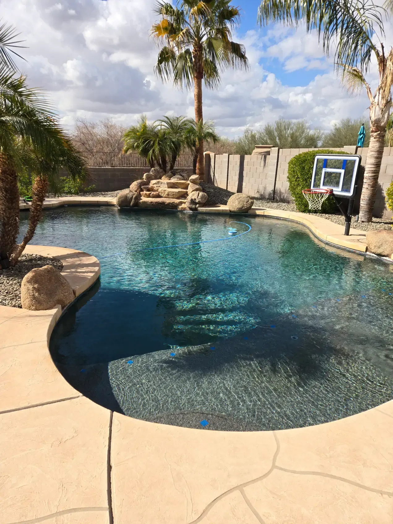 A large swimming pool surrounded by palm trees and a basketball hoop.