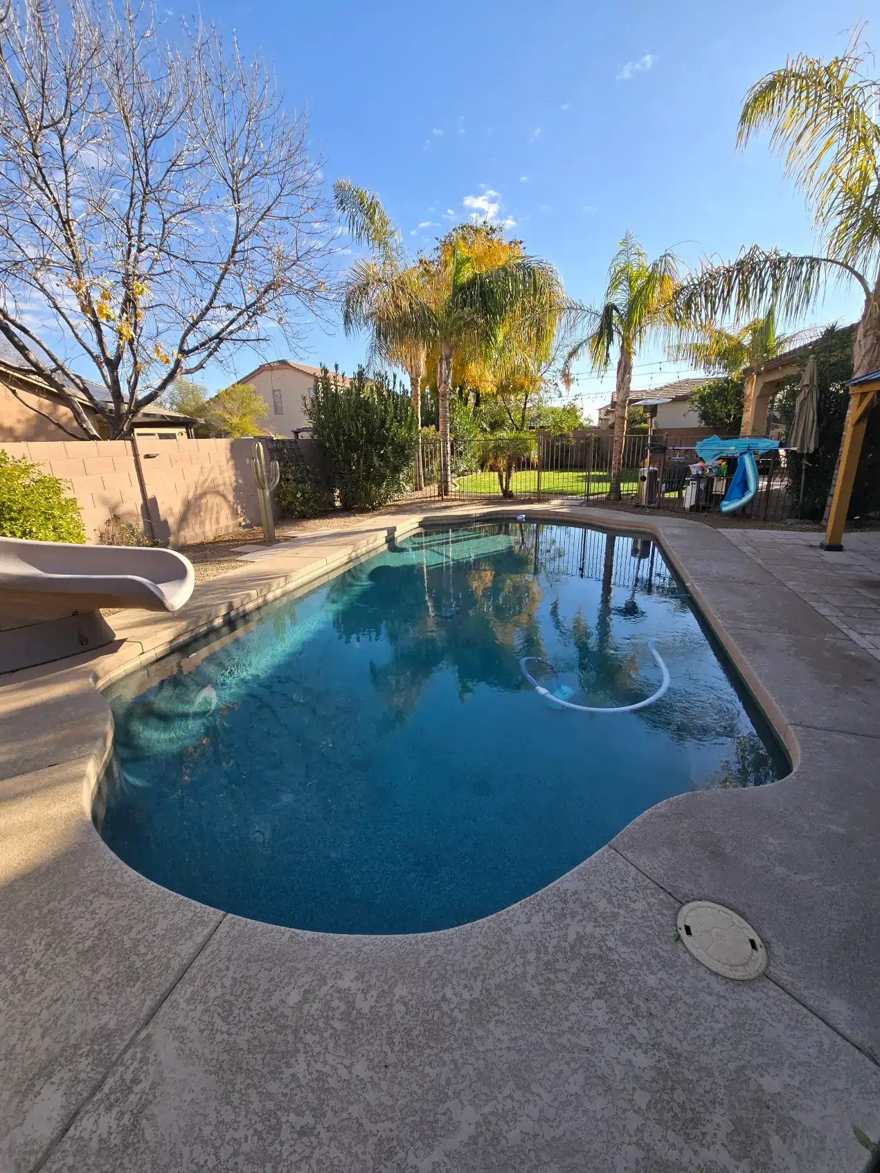 A large swimming pool with a slide and palm trees in the background.