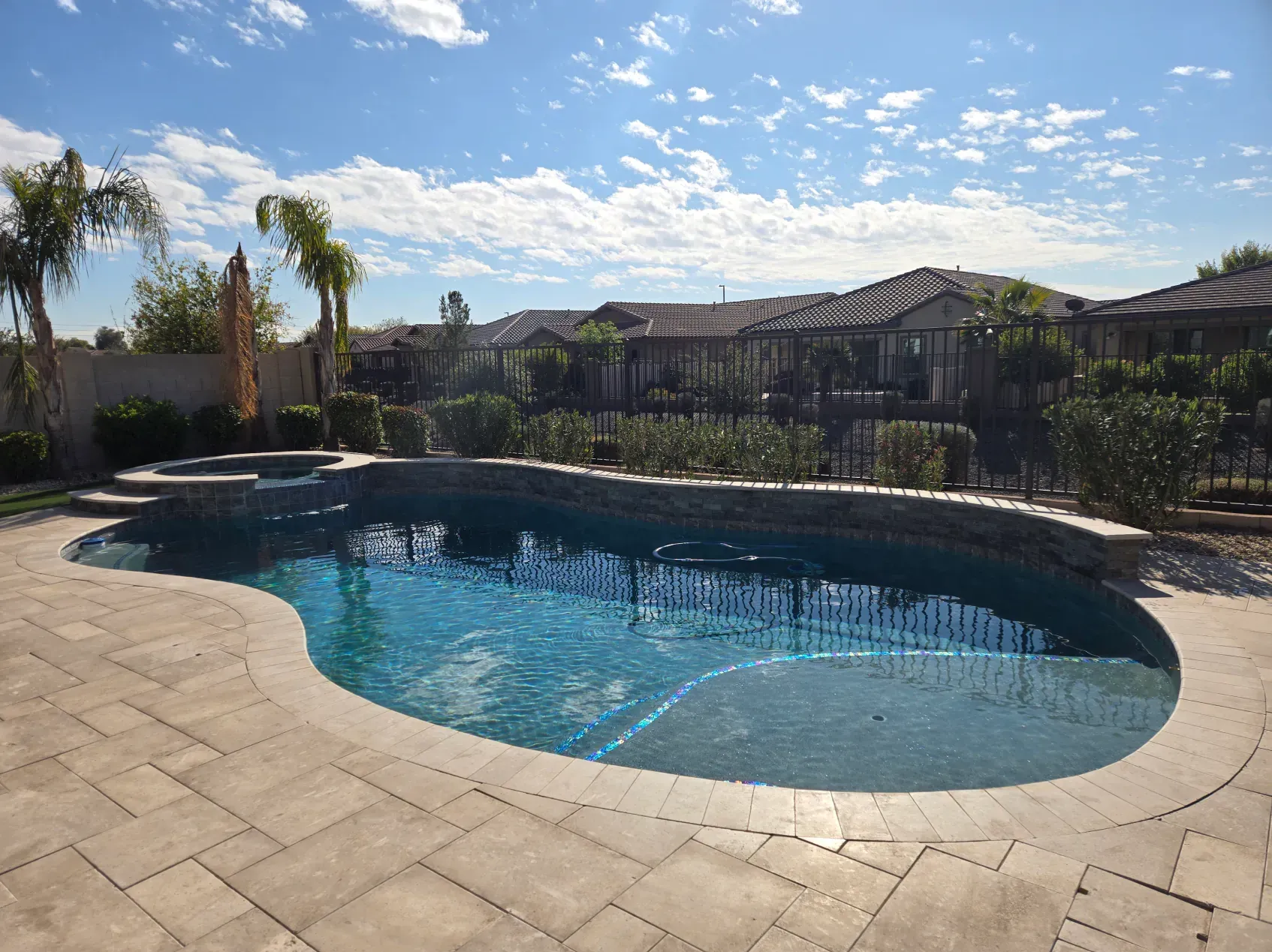 A large swimming pool in a backyard with palm trees in the background