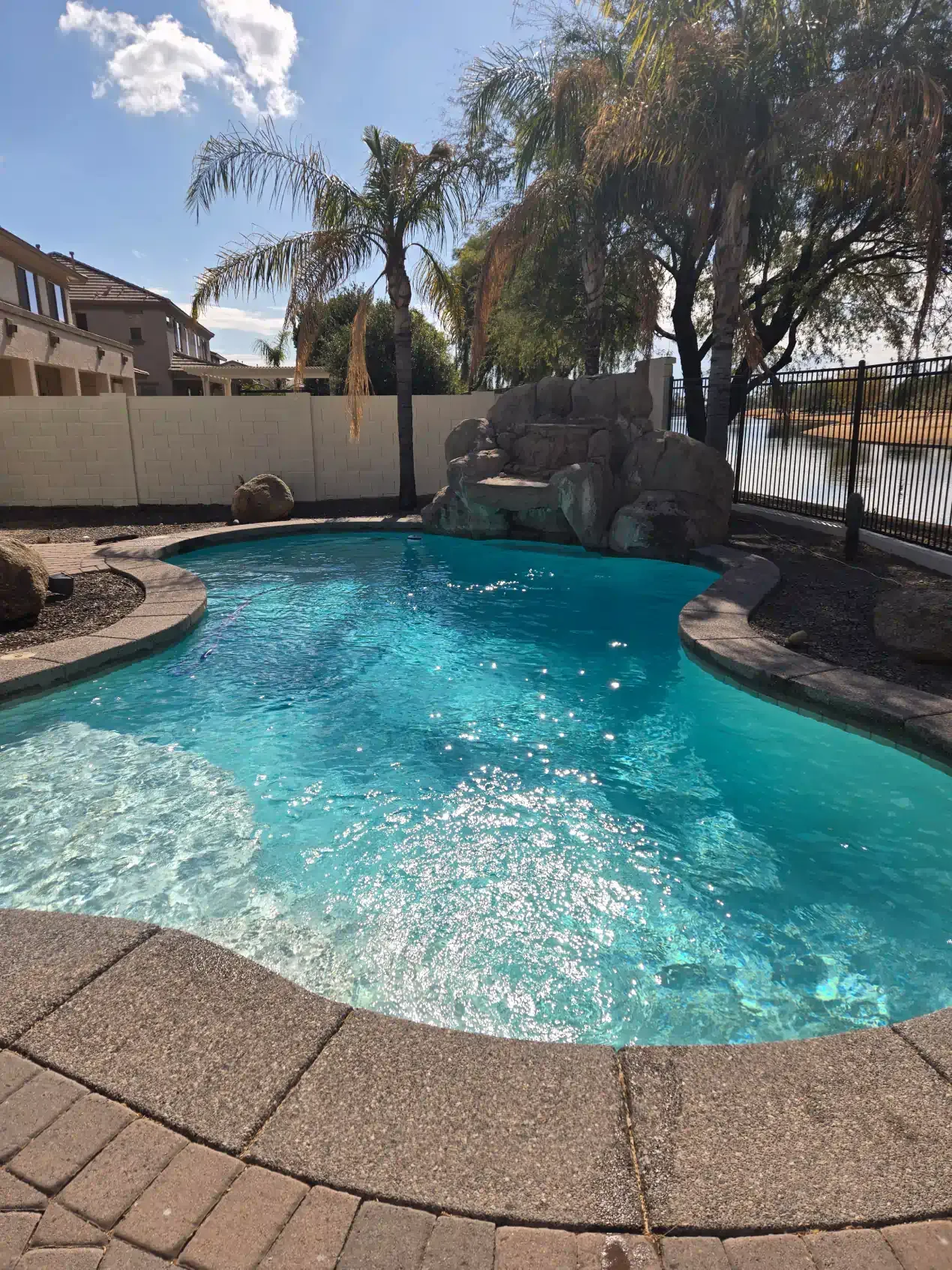 A large swimming pool in a backyard with trees in the background
