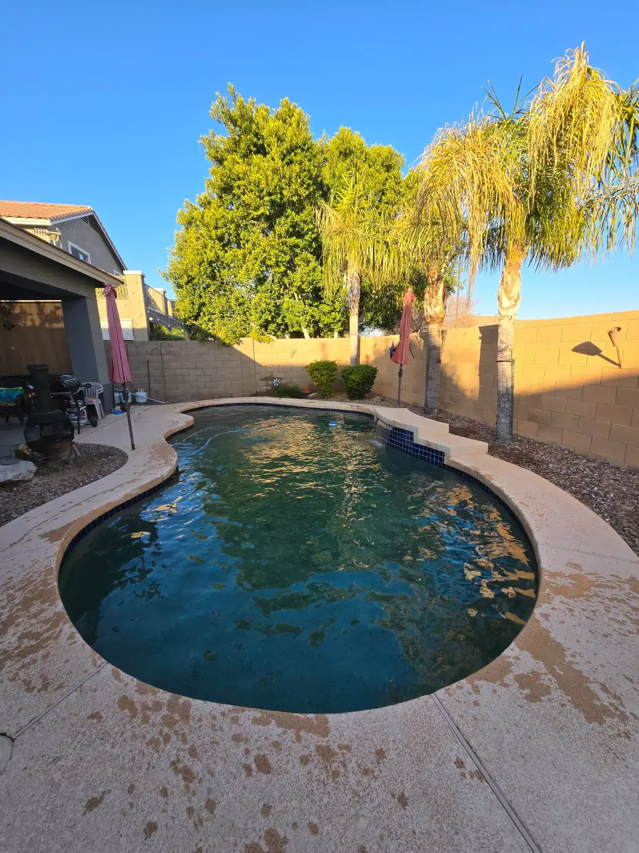 A large swimming pool with palm trees in the background