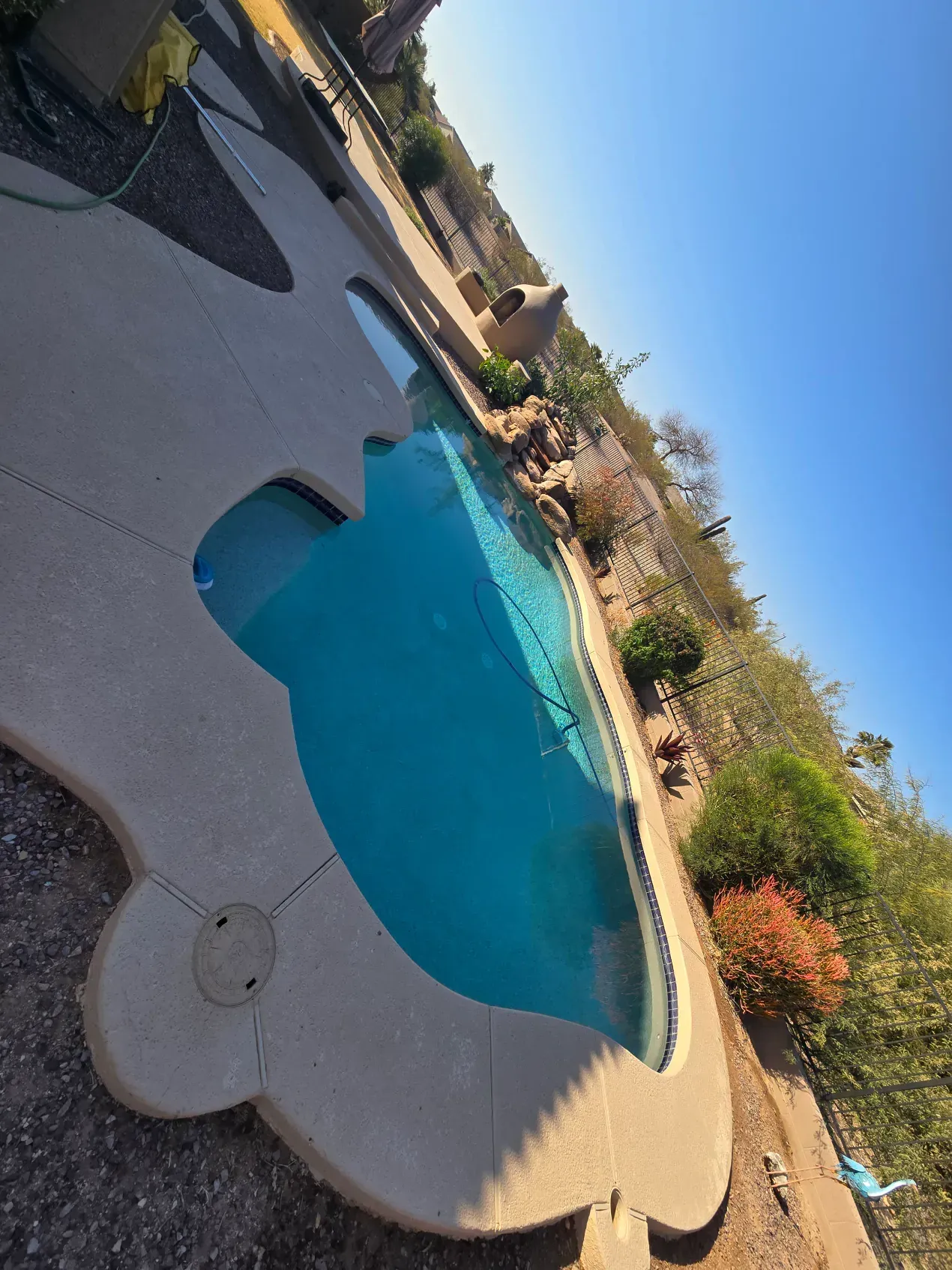 A large swimming pool surrounded by trees and bushes on a sunny day