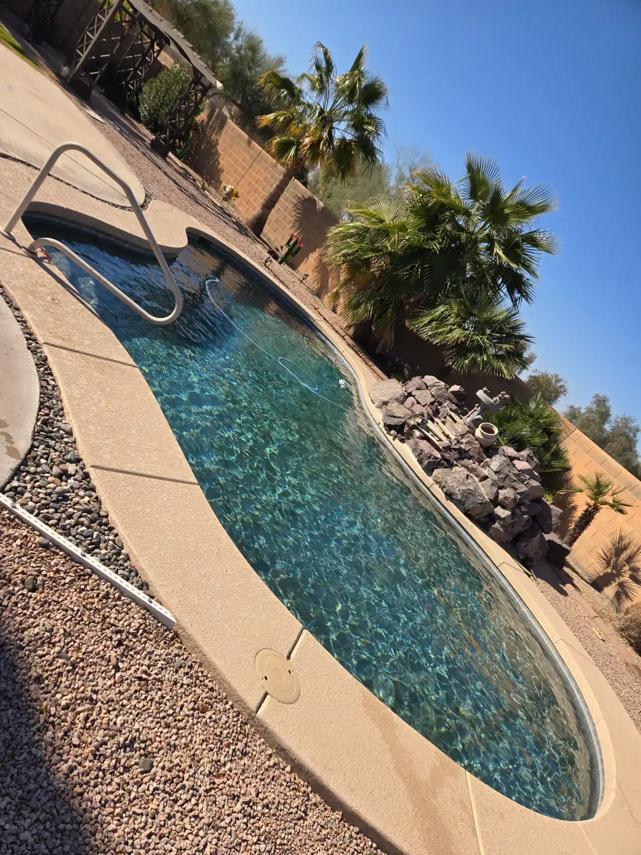 A large swimming pool with palm trees in the background