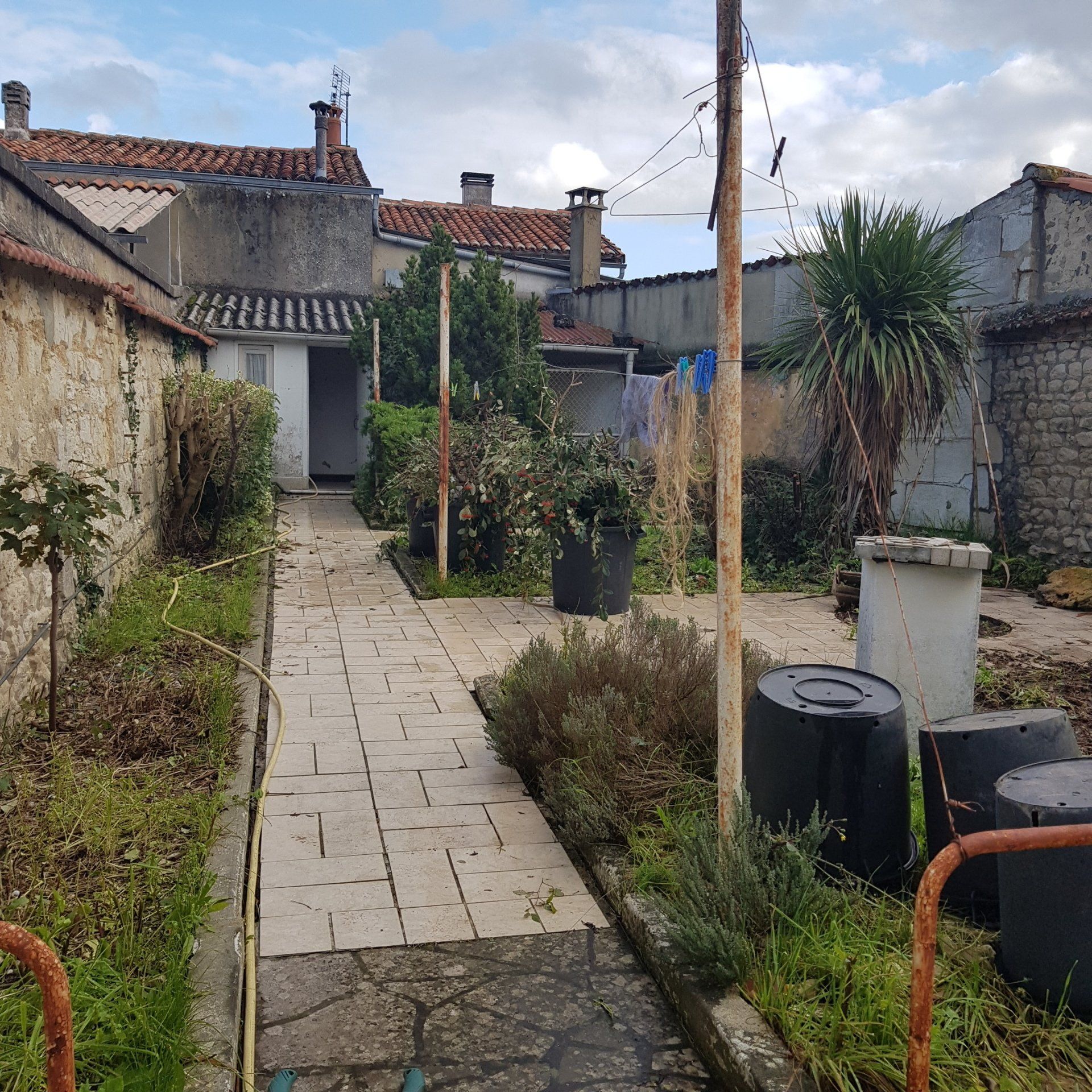 jardin original rempli de mauvaises herbes et de poubelles