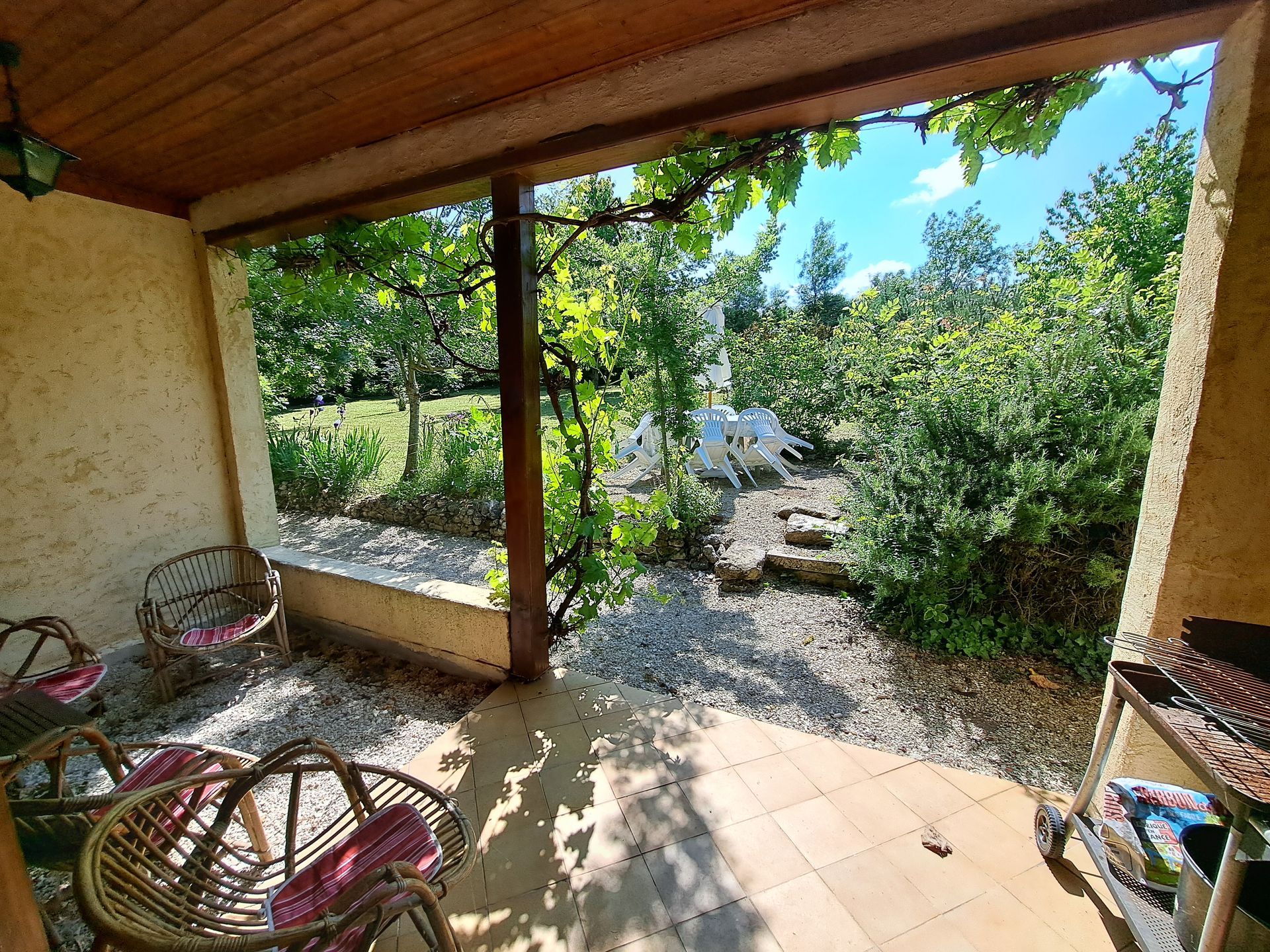 covered terrace with a grape vine and wicker garden chairs