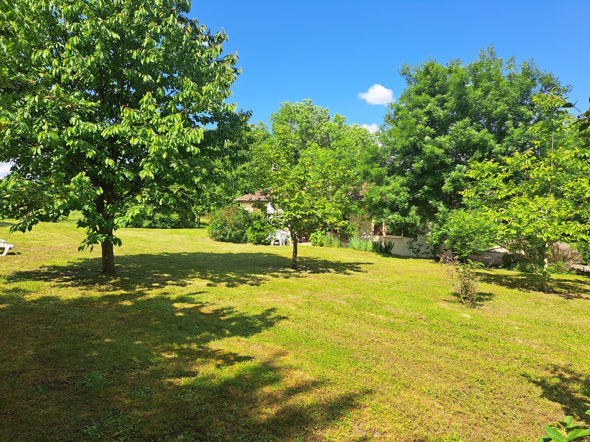 large grassed garden with several trees giving some shade