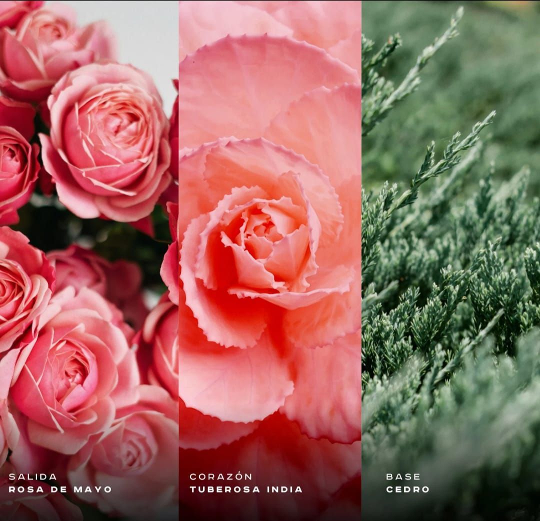 Shagaf Al Ward 100 ml – Perfume floral intenso y elegante