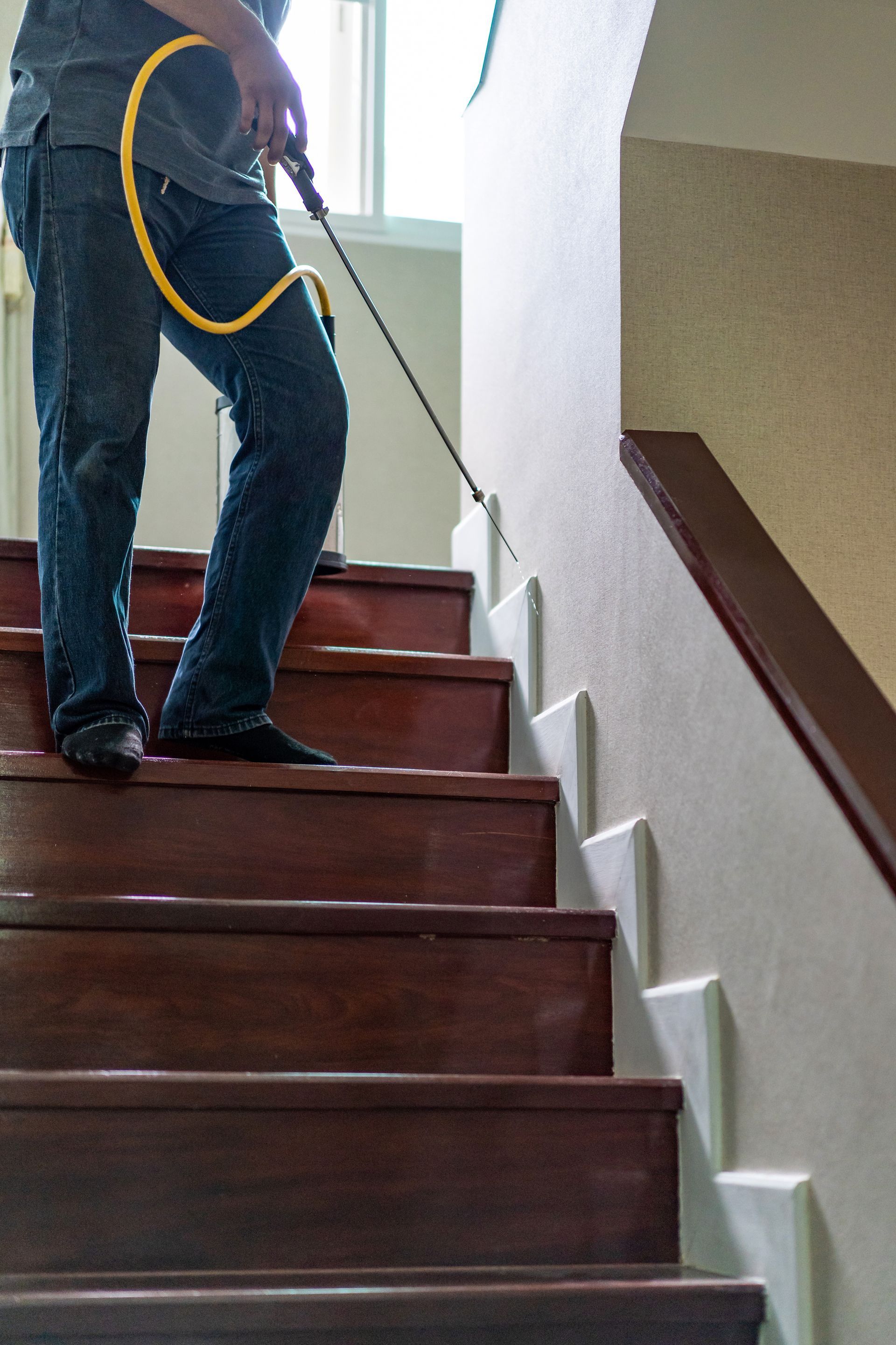 A technician from a termite company spraying insecticide along the baseboards of a home staircase.