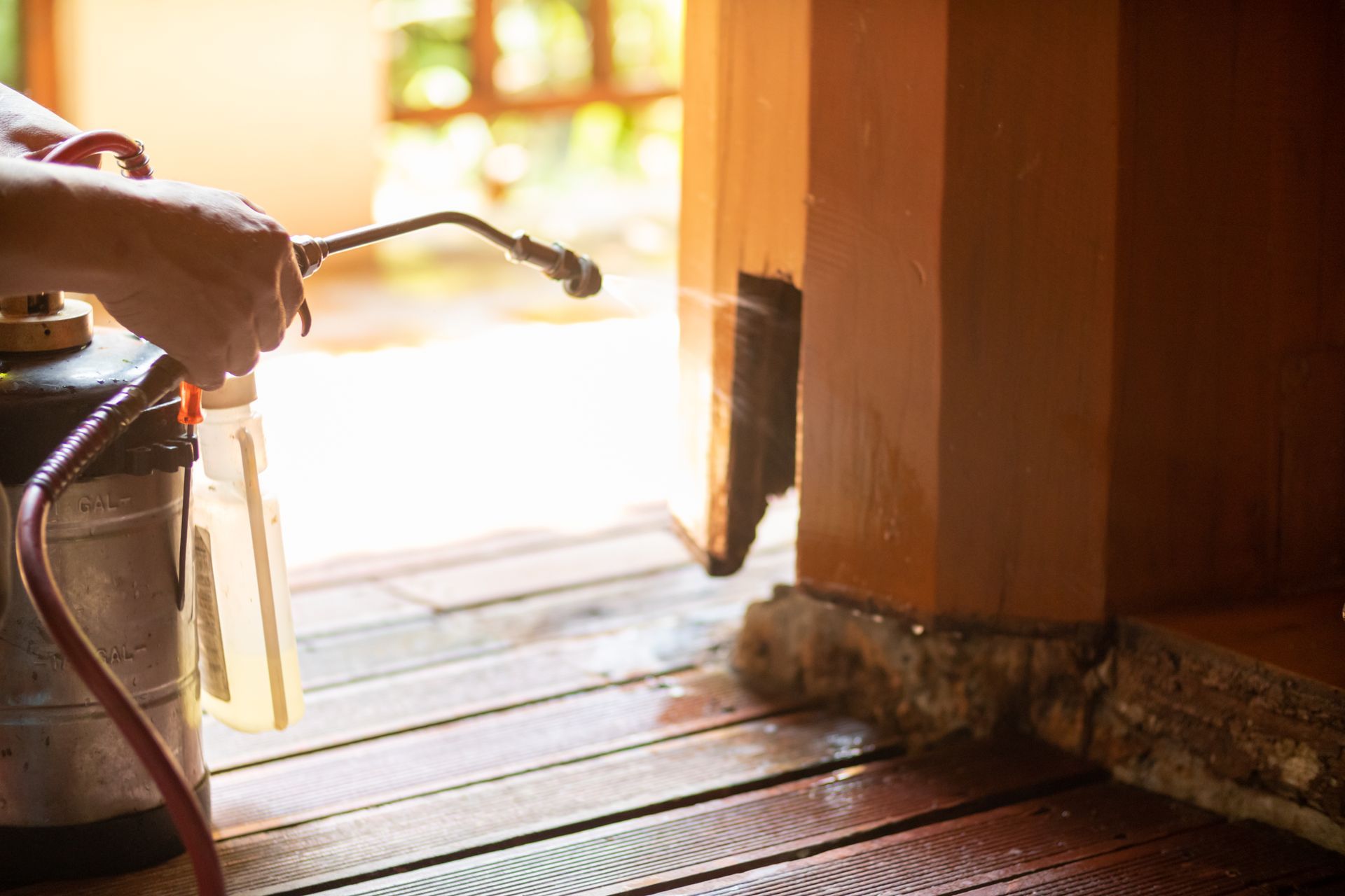 A person uses a spraying tank with pesticides to kill the termites living in the wooden base of a home.