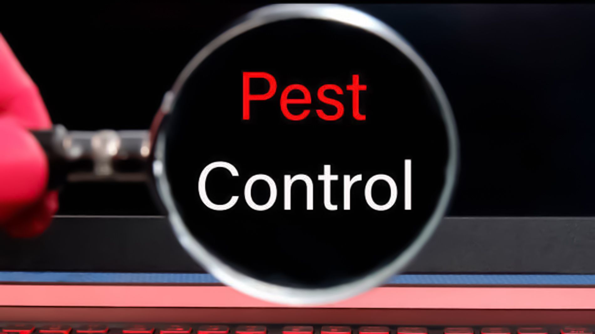Magnifying glass highlighting the words ''Pest Control'' on a dark laptop screen.