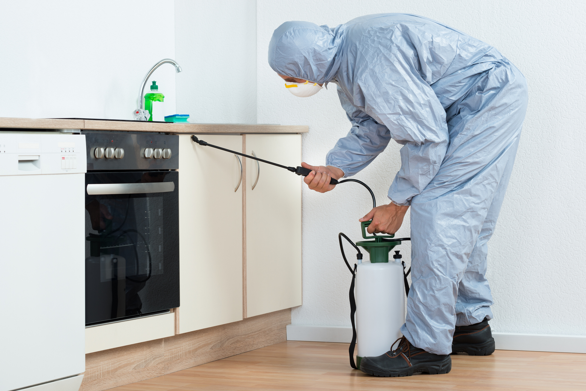 Exterminator from Tri-S Pest Control Service providing pest removal in Wesley Chapel, FL