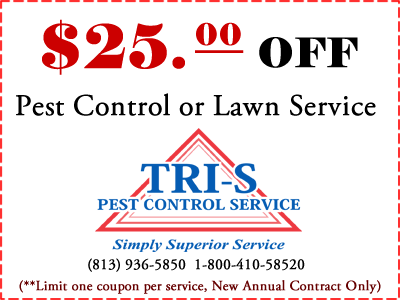 $25 OFF Lawn or Pest Control Contract