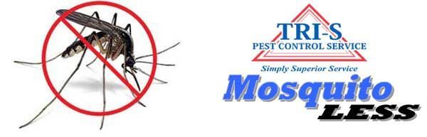 Mosquito | Tampa, FL | Tri-S Pest Control Service