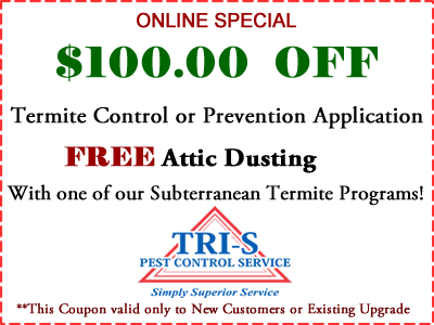 $100 OFF Termite Control Services, FREE Attic Dusting