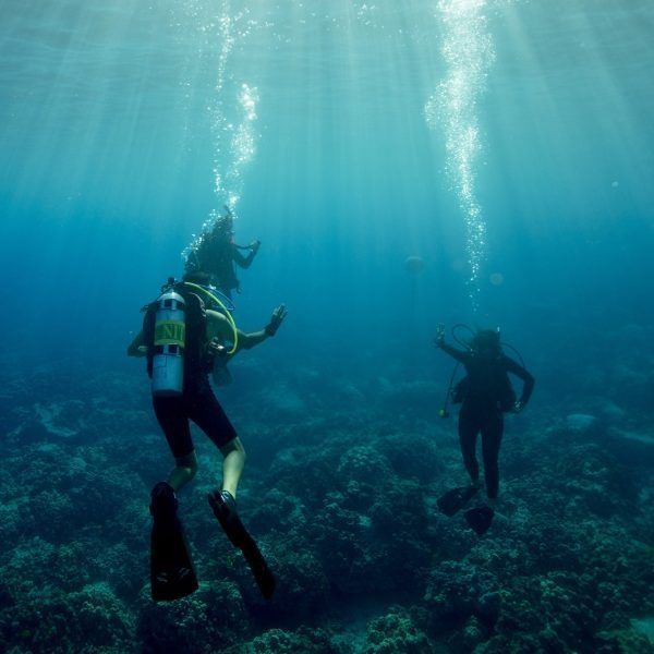 Divers exploring a coral reef, surrounded by sunlight and bubbles rising to the surface.