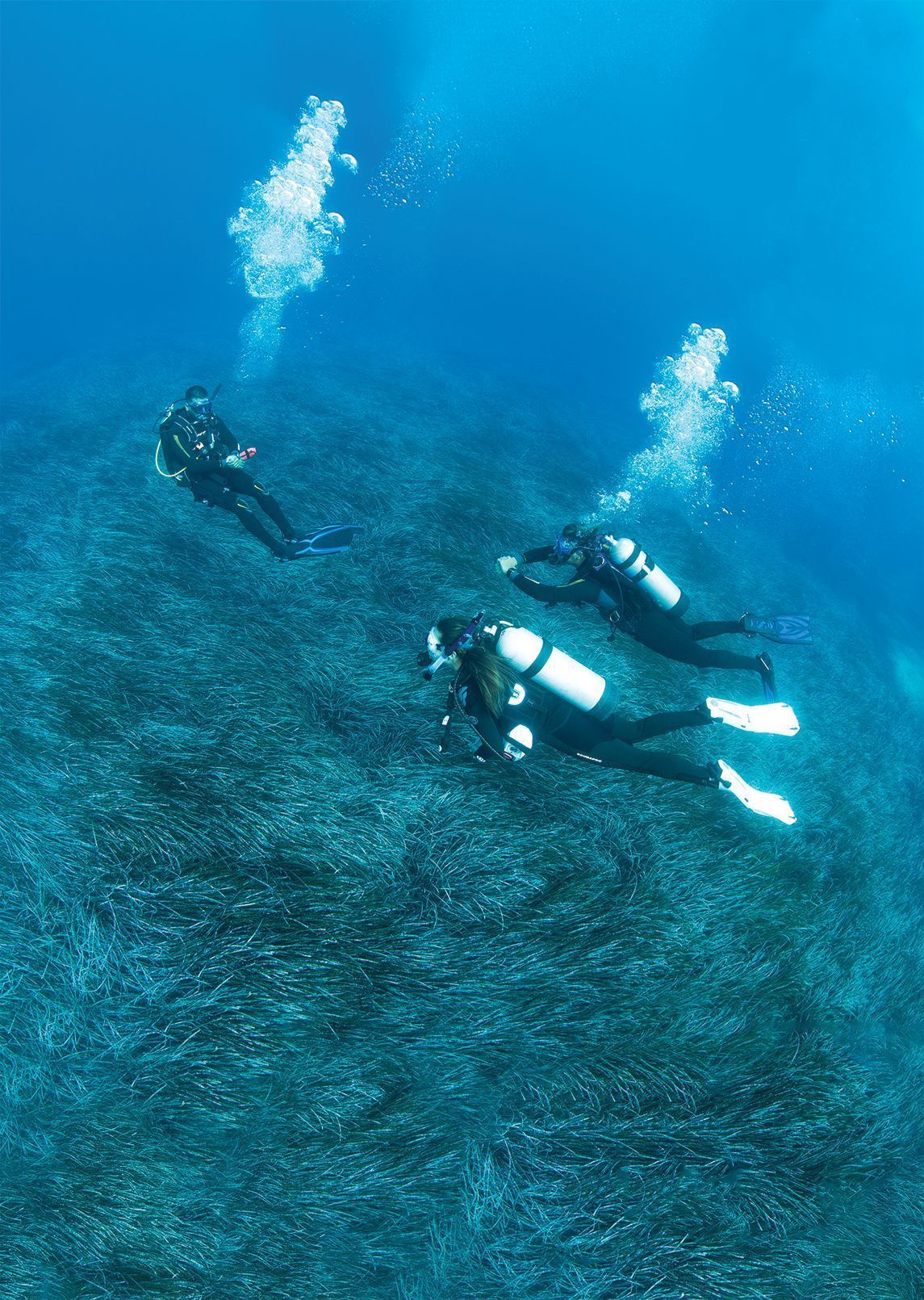 Four scuba divers underwater, ascending through blue water, bubbles rising.