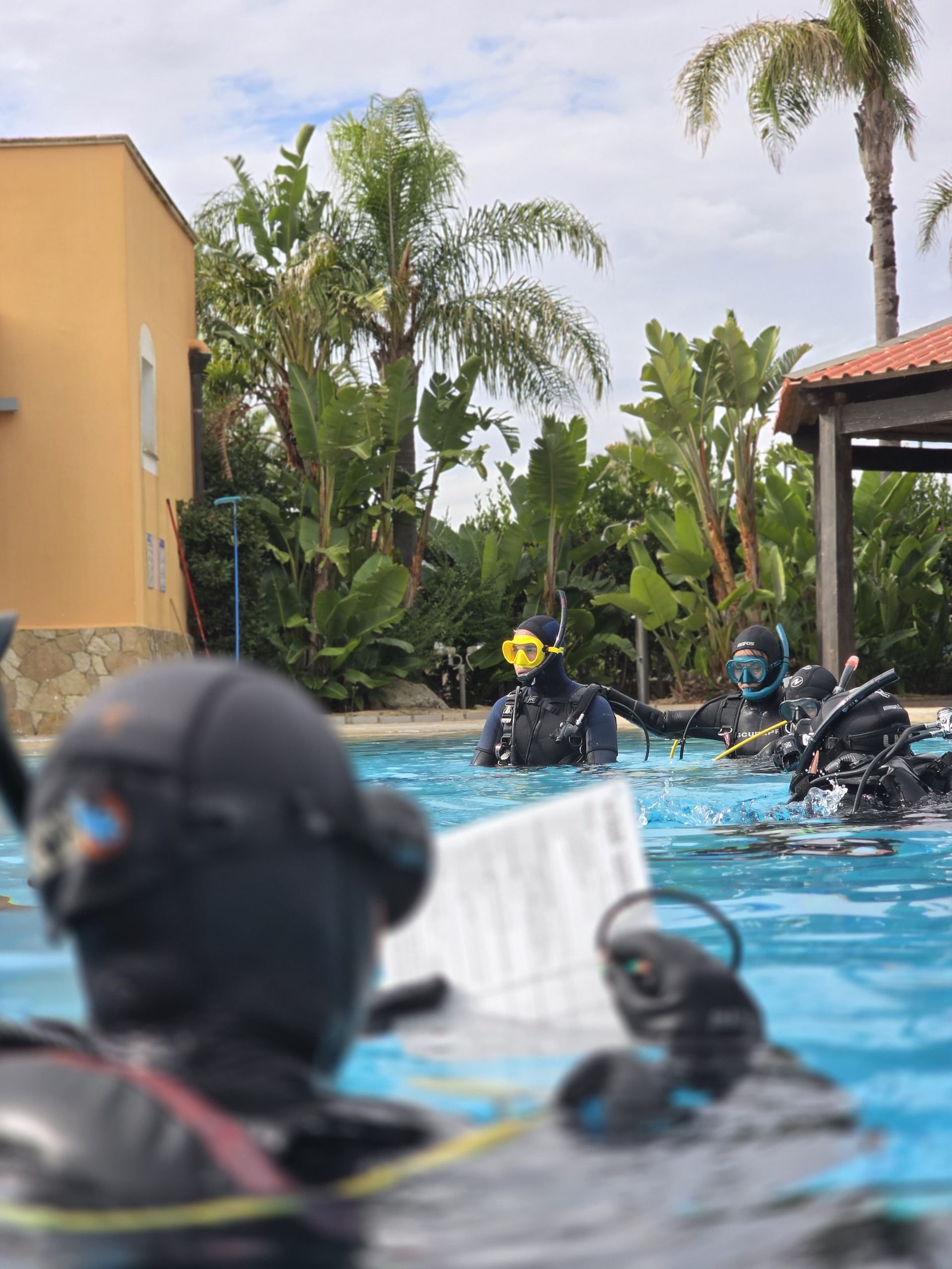 Two divers in water give a high five, one wearing a black drysuit, the other a red and black wetsuit.