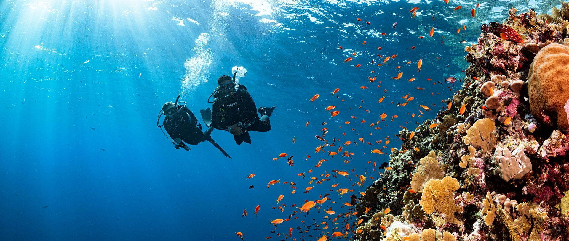 Two scuba divers explore a vibrant coral reef, surrounded by fish and sunlight filtering through the water.