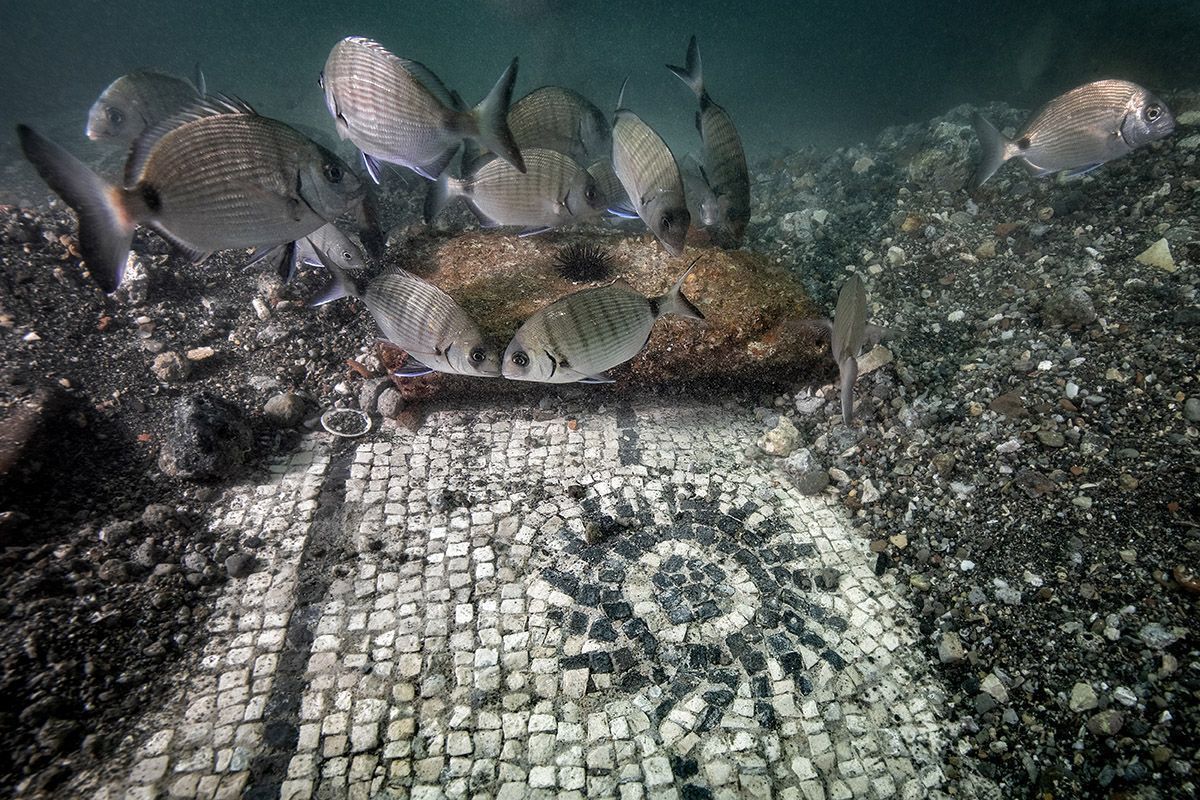 Underwater view of fish swimming around a mosaic floor. Mosaic depicts a sunburst design, partially covered by a large rock.