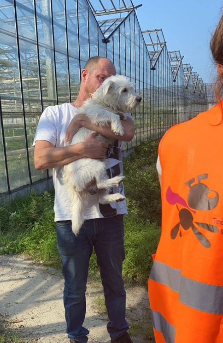 hond vermist westland