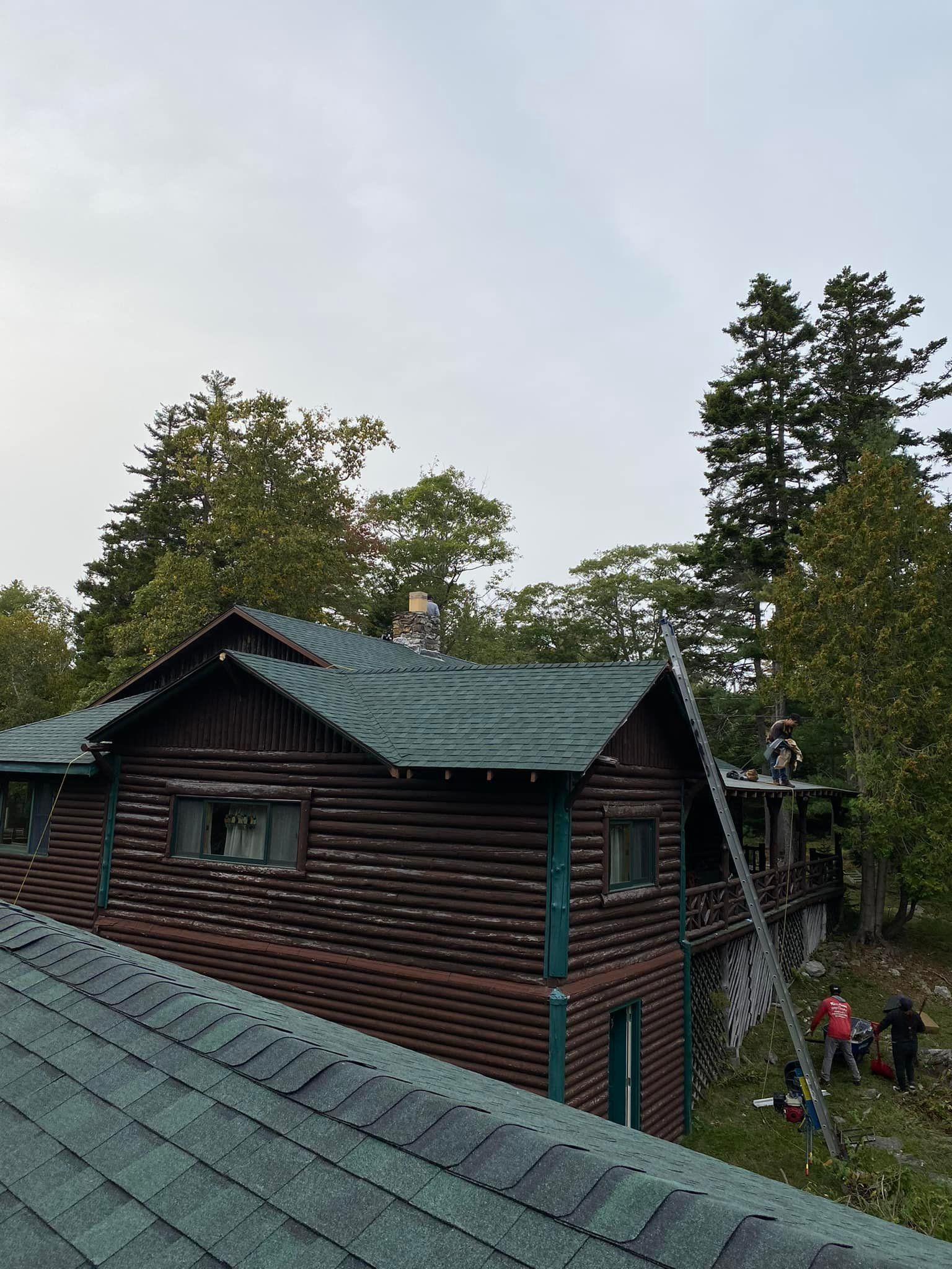A wooden house with a green roof is surrounded by trees.