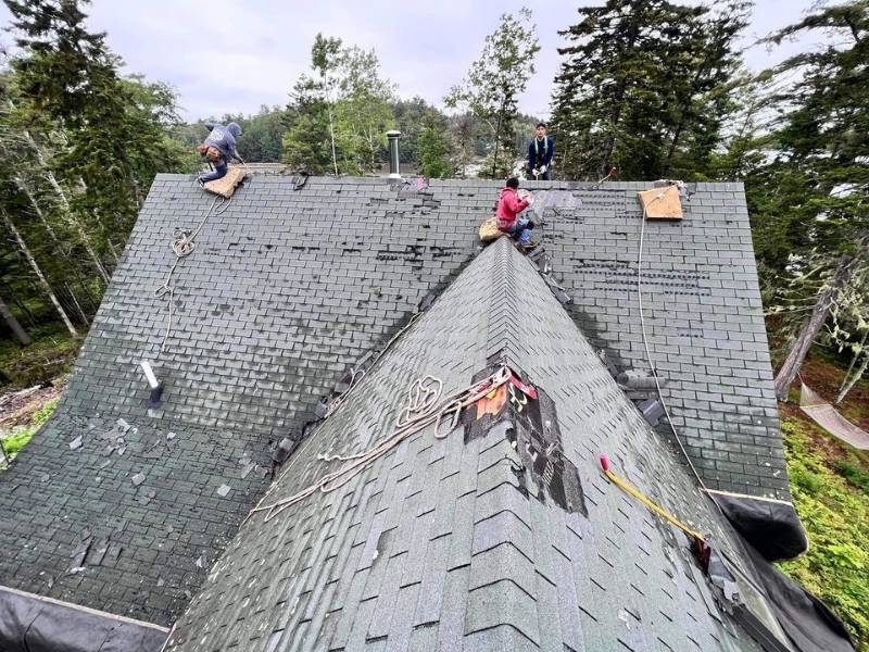 bristol roof photo 8