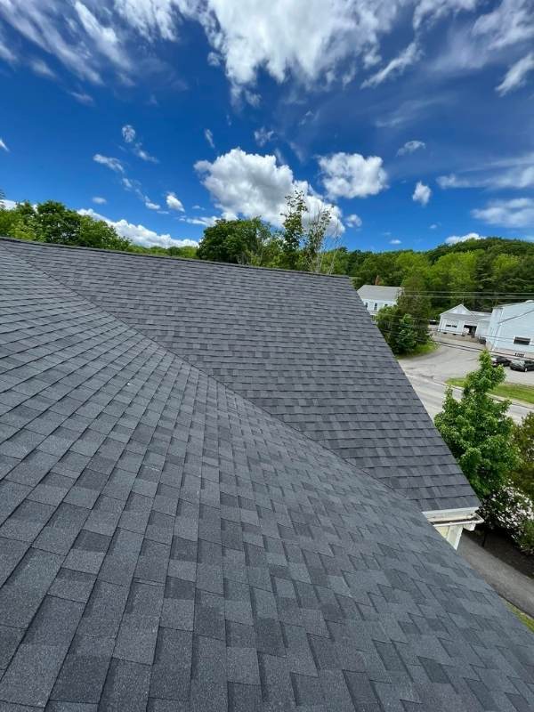 newcastle roof photo 2